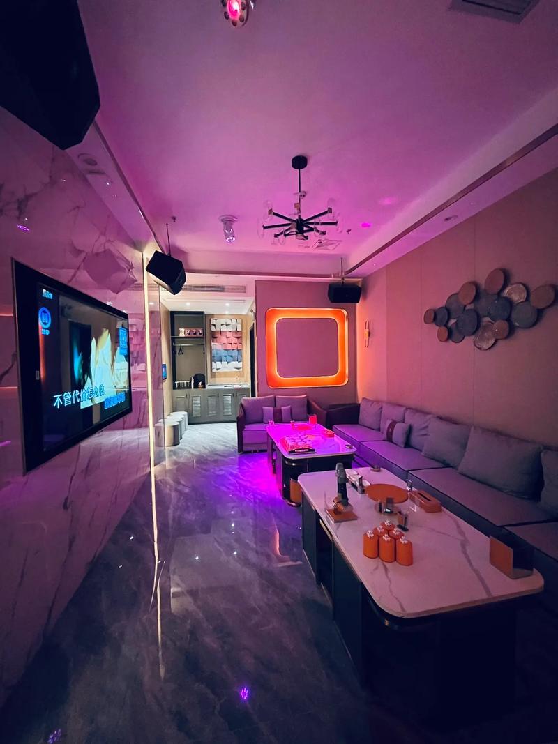 张家口商务KTV，商务精英聚会的顶尖选择-阳原县ktv预订